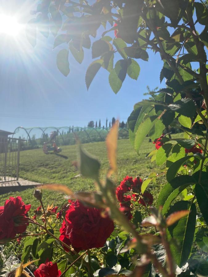 B&B” La Tezza” Torre de' Roveri 外观 照片